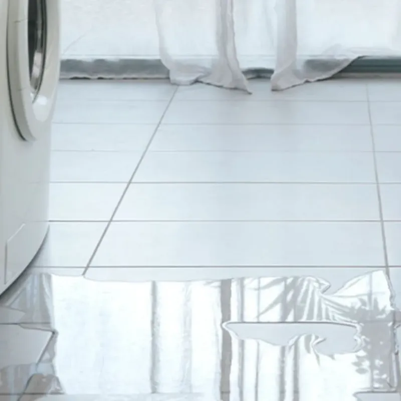 Appliance Leak Cleanup in Livingston County, IL