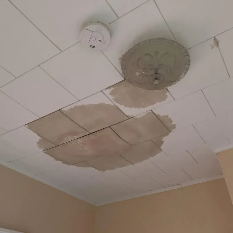 Ceiling Water Damage Repair in Livingston County, IL