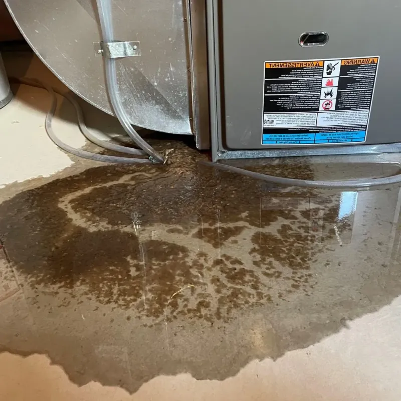 Pipe Burst and Leak Restoration in Livingston County, IL