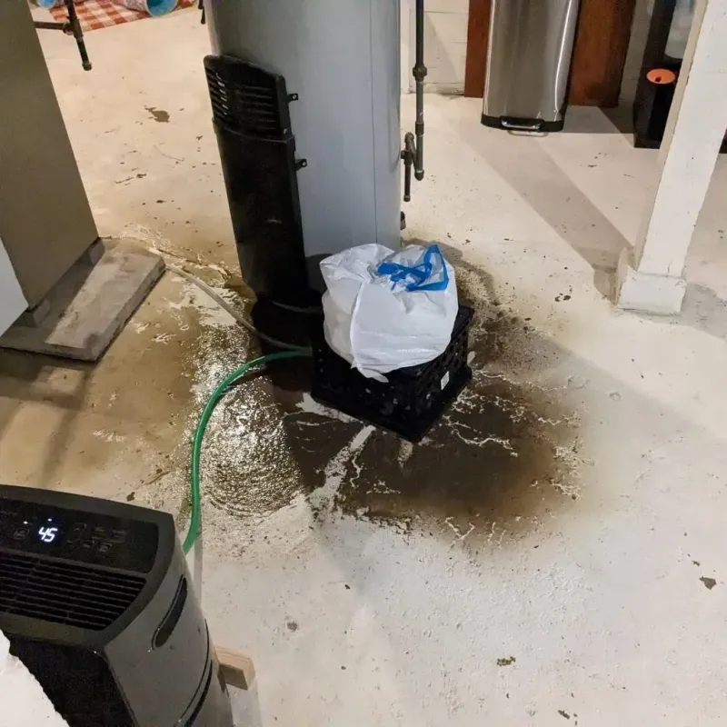 Sewage Backup Cleanup Service in Livingston County, IL